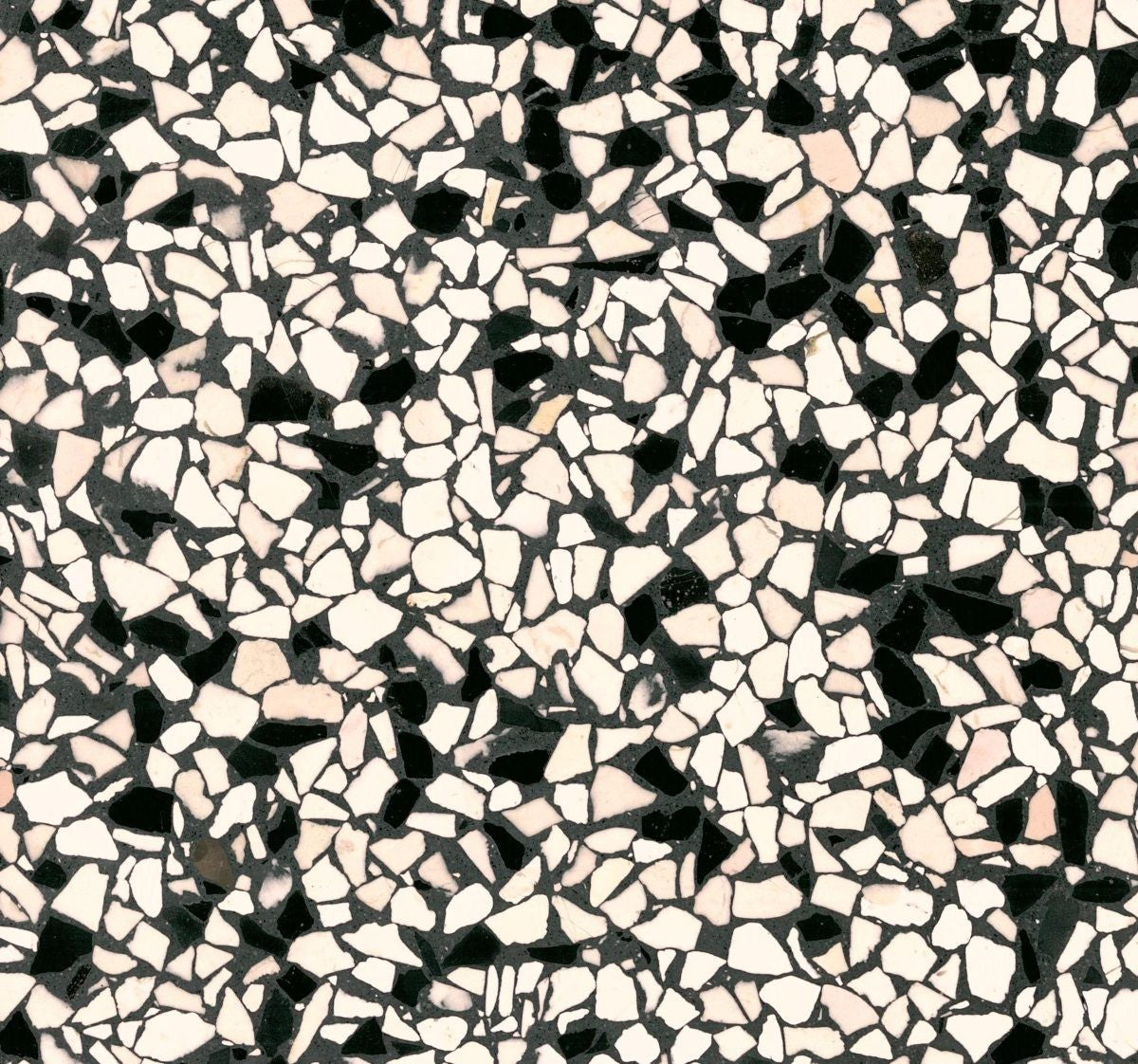 GTSC-00000139
