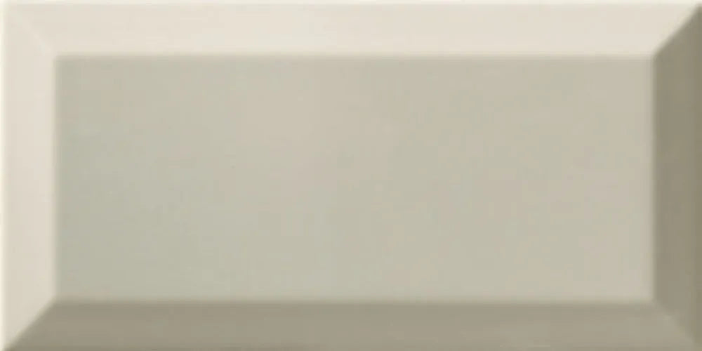 Ribesalbes Bisel light grey | Ceramic | 100x200x8mm | Gloss