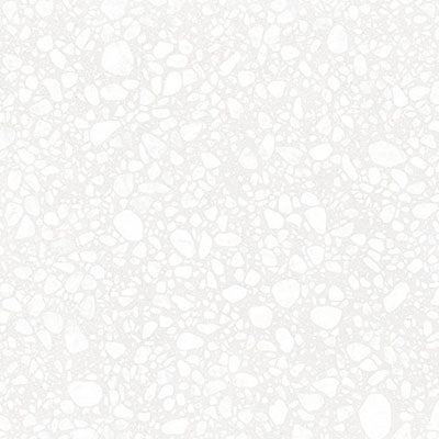 GTSC-00000002