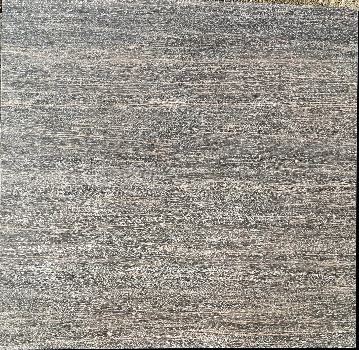 Edilcoughi - Bois Nero | Porcelain | 600x600x11mm | Natural