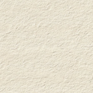 GTSC-00000113