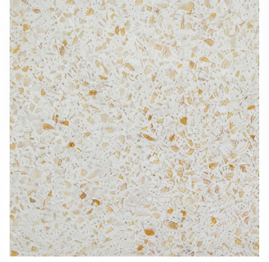 Rover- Saion | Quartz based Conglomerate | 600x600mm | Polished