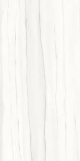 Ariostea - Marmi Zebrino Bianco P612517 | Porcelain | 600x1200x8mm | Natural