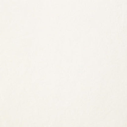 Porcelaingres - Just grey super white X600120 | Porcelain | 600x600x8mm | Natural